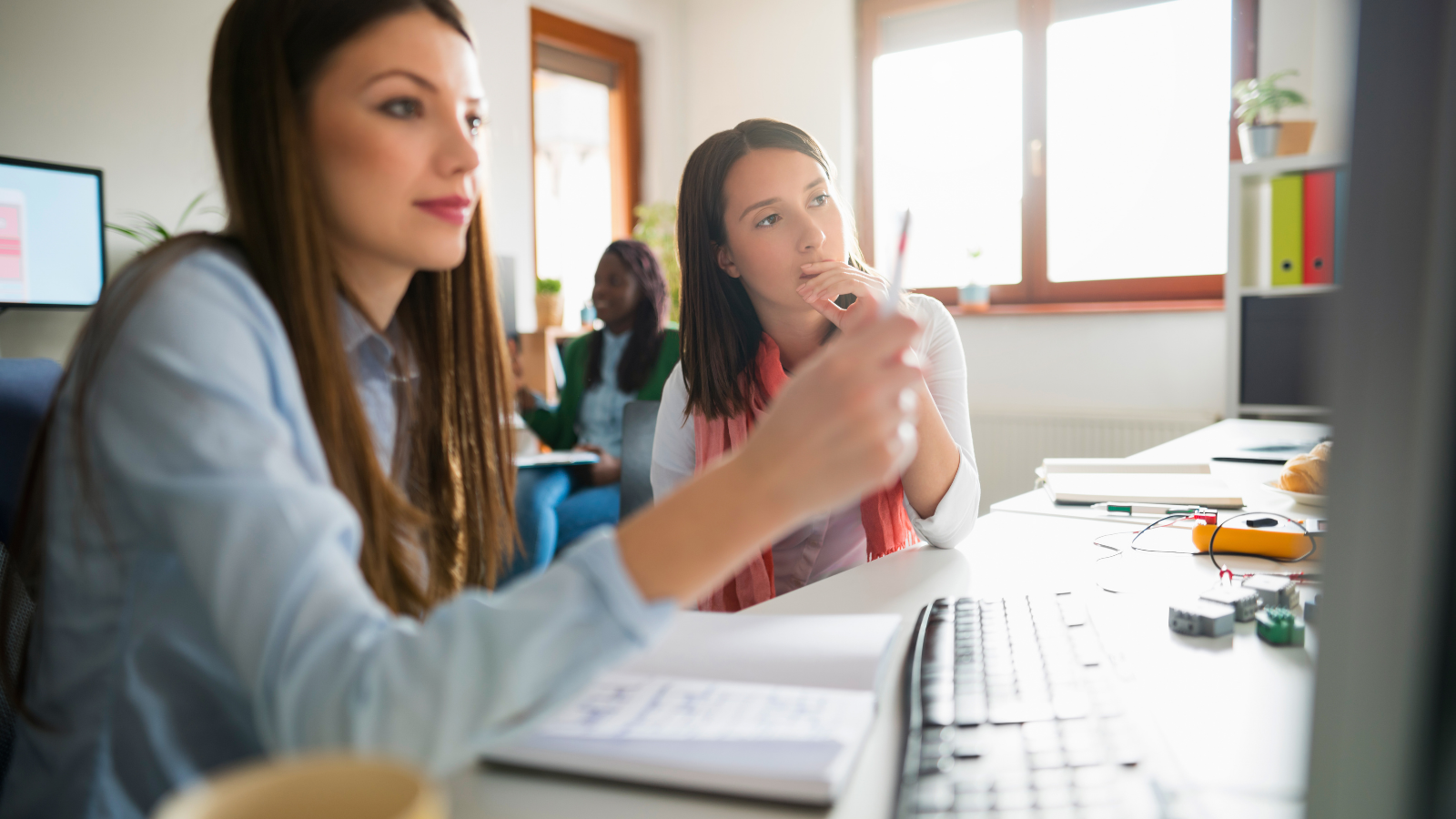 Young women IT professionals working together on their project.